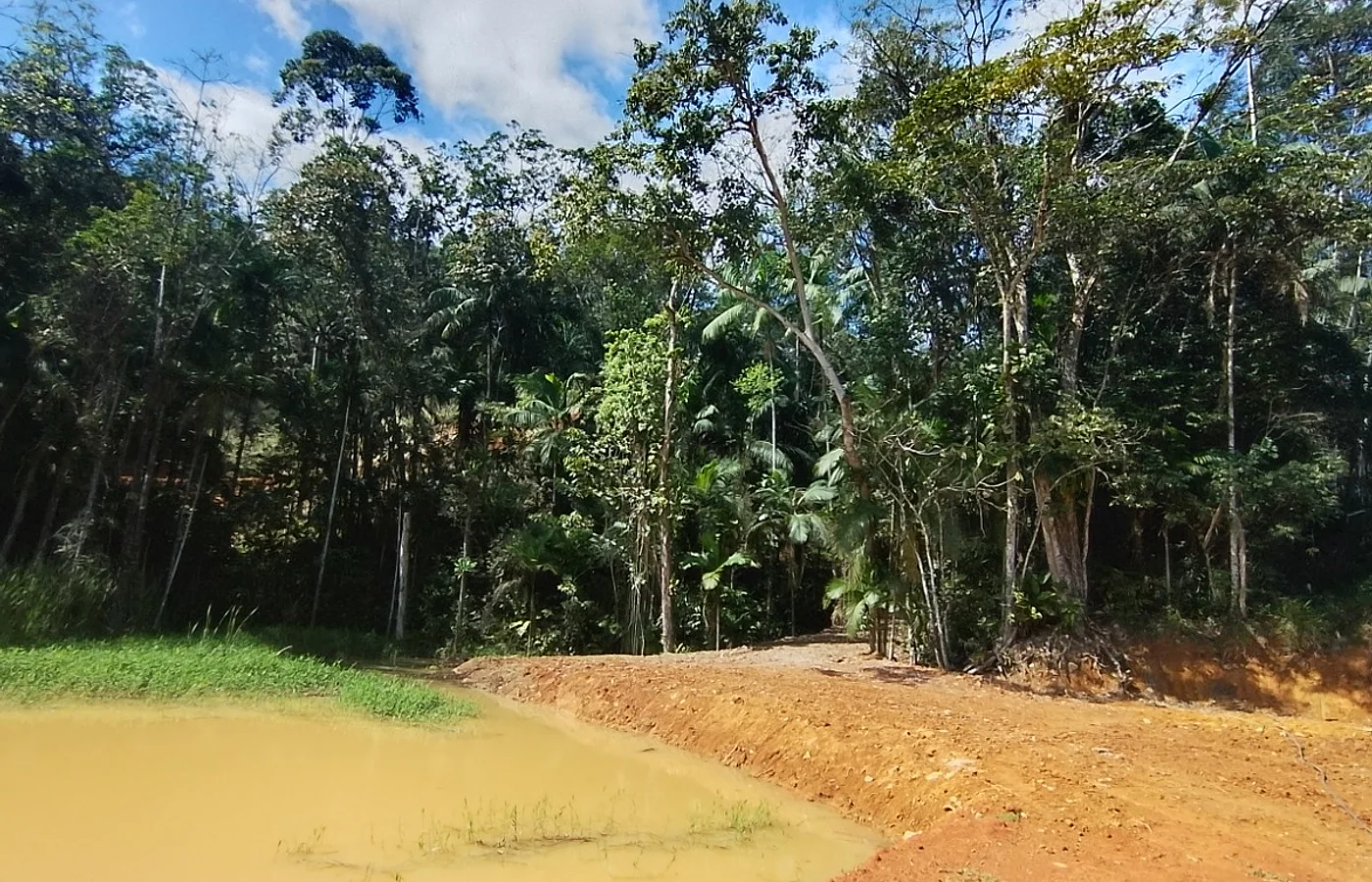Seu Refúgio rural com 3.200m² – Lagoa + Nascente – Ilhota/SC – Braço do Baú