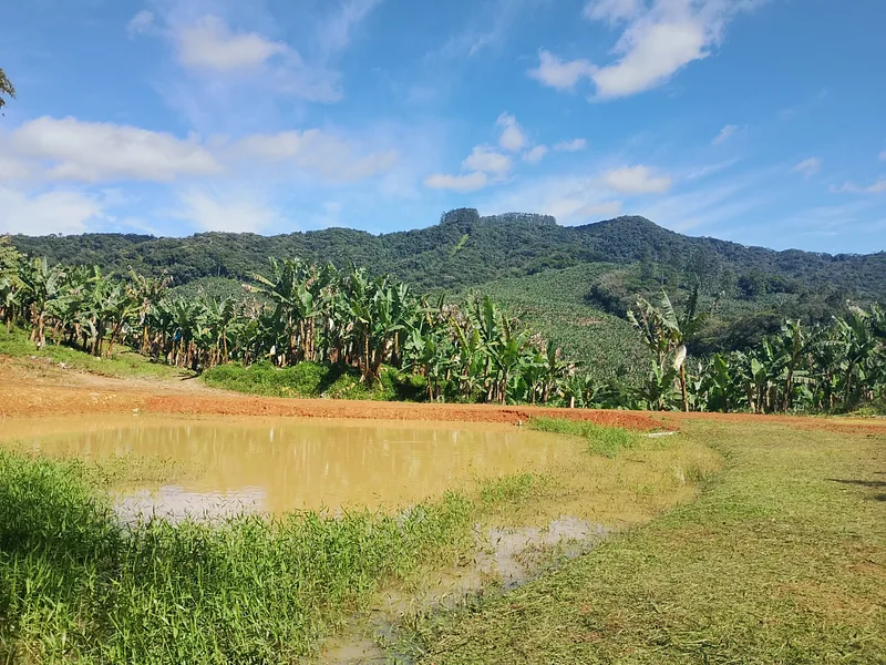 Terreno rural com 3.200m² – Lagoa + Nascente – Ilhota/SC – Braço do Baú