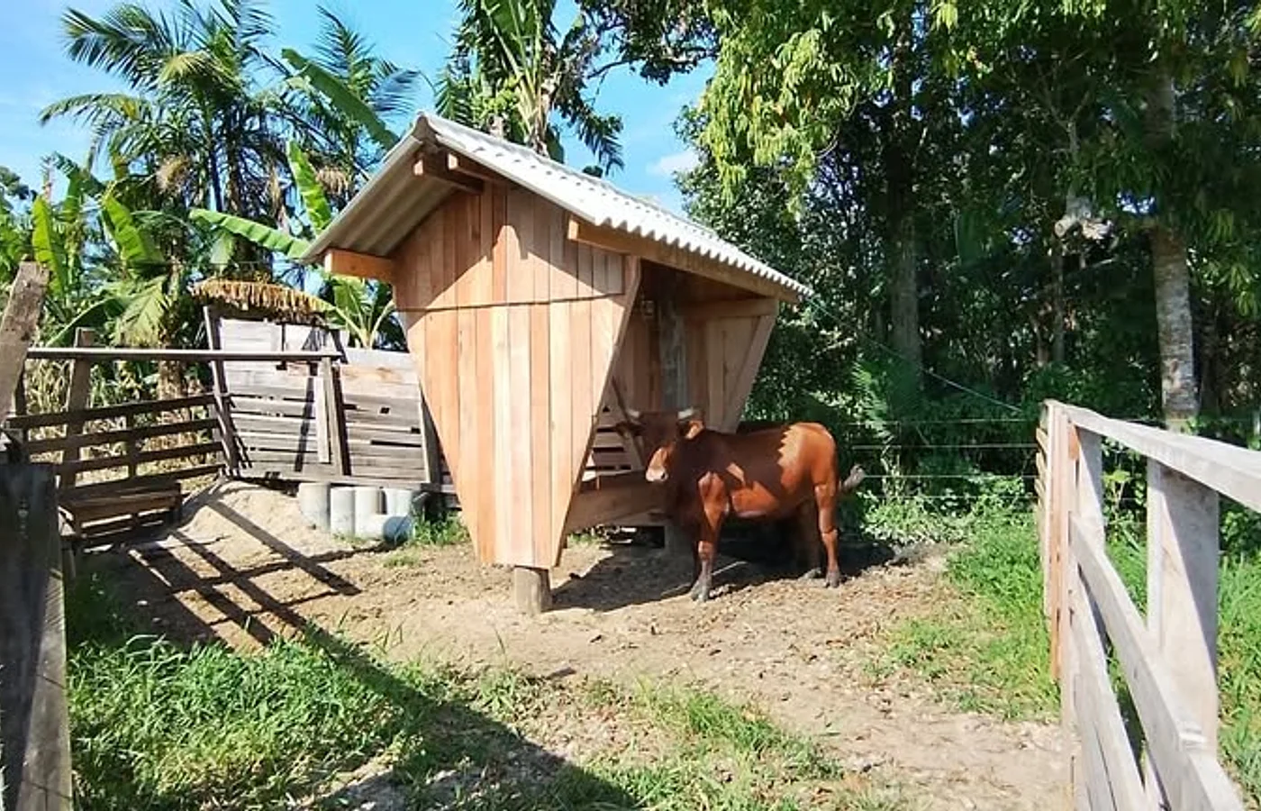 OPORTUNIDADE EM GASPAR: 10.000m² + RIO + PASTAGEM PRONTA