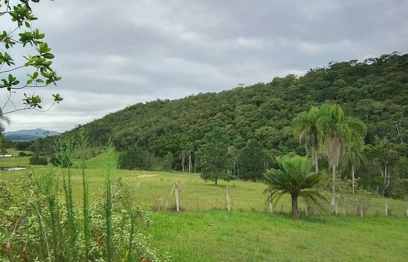 TERRENO PARA PEQUENA CHÁCARA – BAIRRO BRILHANTE | ITAJAÍ/SC