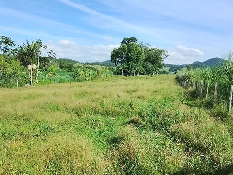 Terreno De 1- Hectare (10.000M²)  Com Rio Nos Fundos
