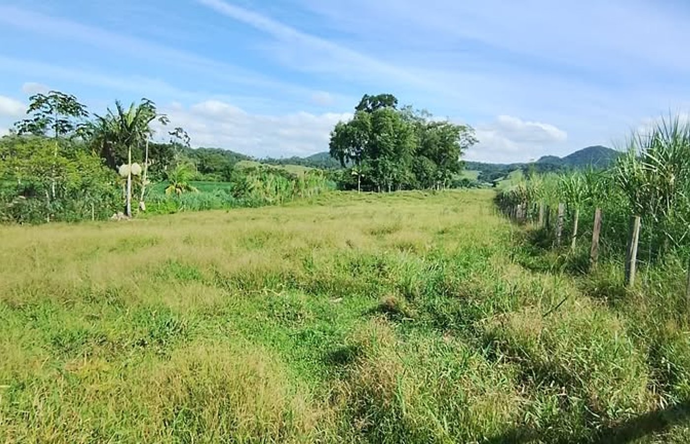 Terreno De 1- Hectare (10.000M²)  Com Rio Nos Fundos