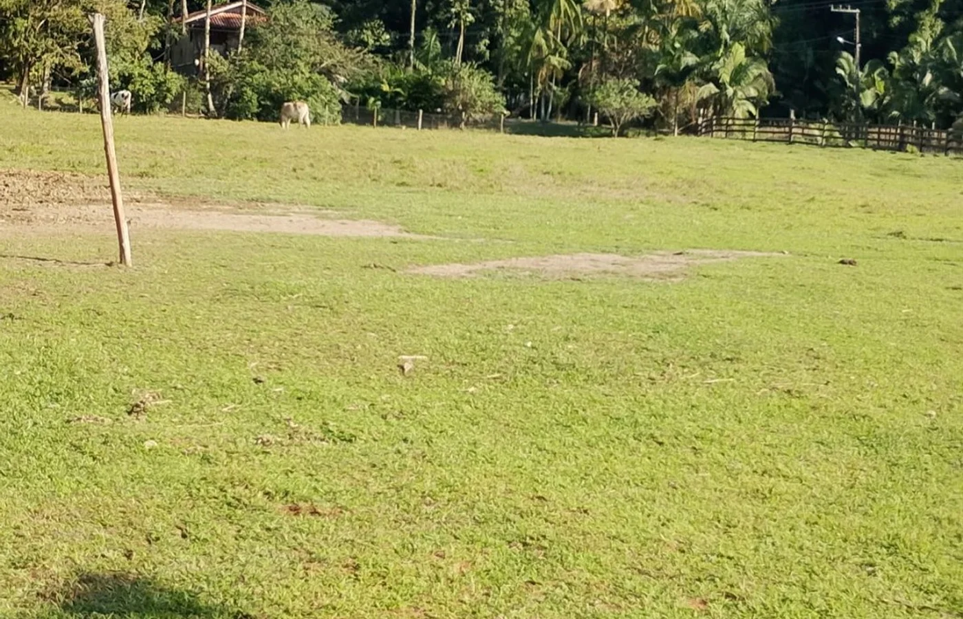 SITIO PORTEIRA FECHADA EM ILHOTA – 21.656m² + CASA + LAGOA COM 5.000+ PEIXES