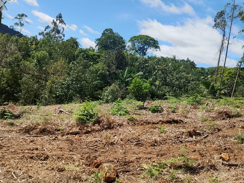 Terreno Rural De 2.000M2 "Aceita Parcelamento" Ilhota/Sc – Vista Panorâmica!