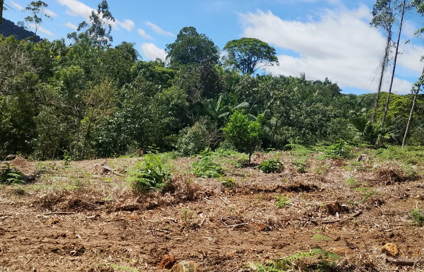 Terreno Rural De 2.000M2 "Aceita Parcelamento" Ilhota/Sc – Vista Panorâmica!