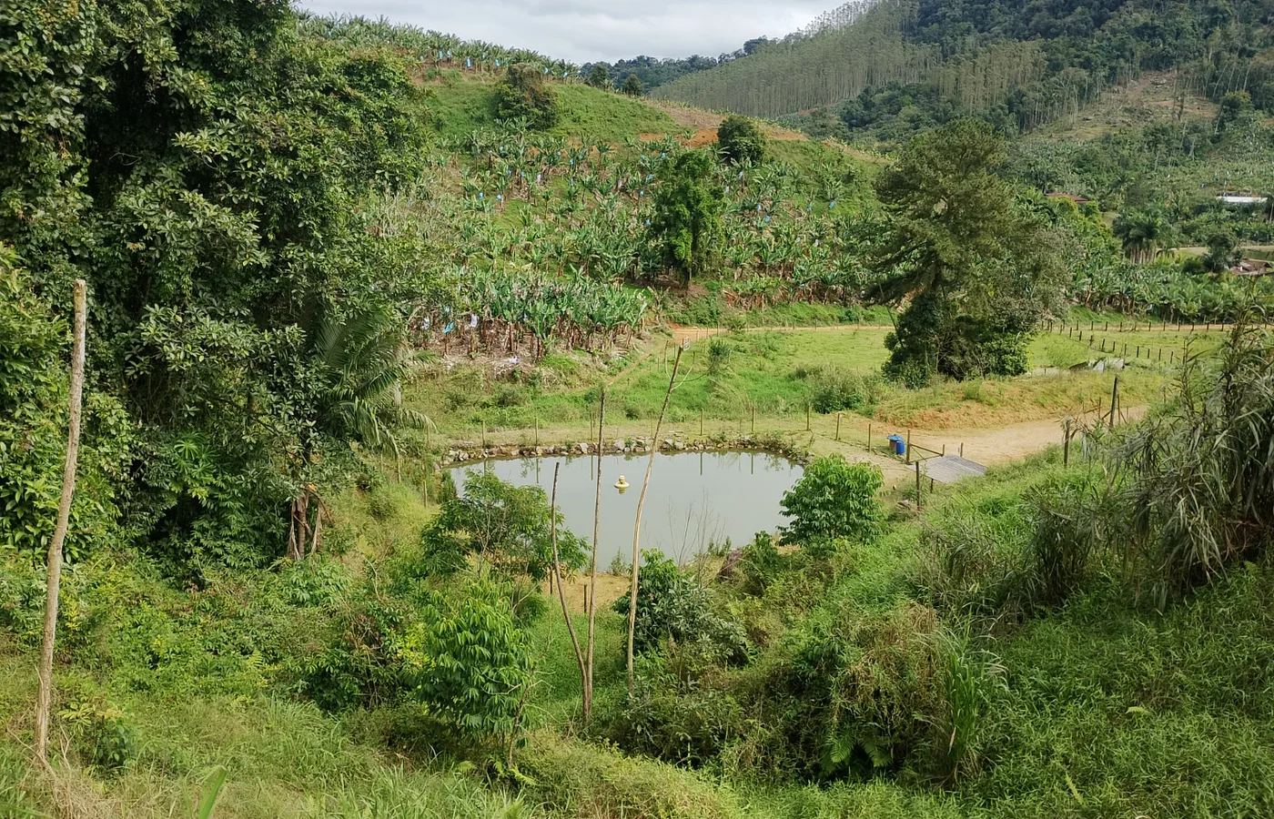  Terreno Rural com Lagoa, Mata e Topografia Diferenciada - 8.000m²