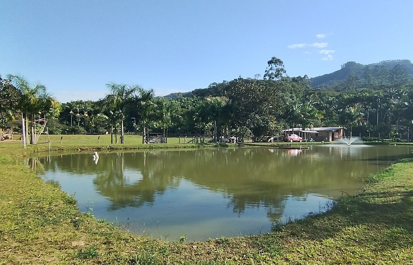 Sítio Porteira Fechada Com 21.656M² | Braço Do Baú – Ilhota/Sc