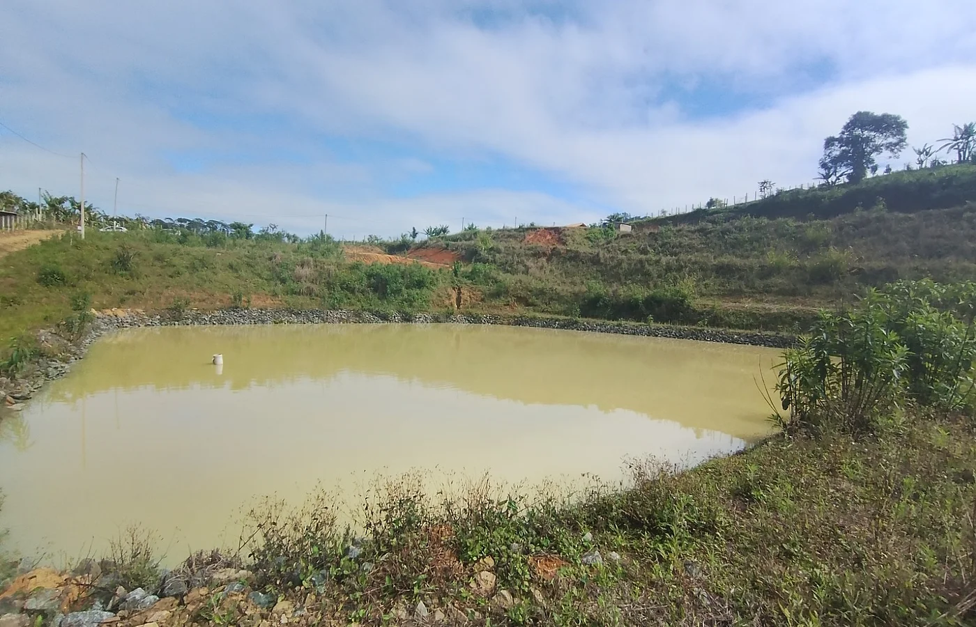 Área Rural com Lagoa e Pastagem - 10.000m² - Braço Comprido - Luiz Alves