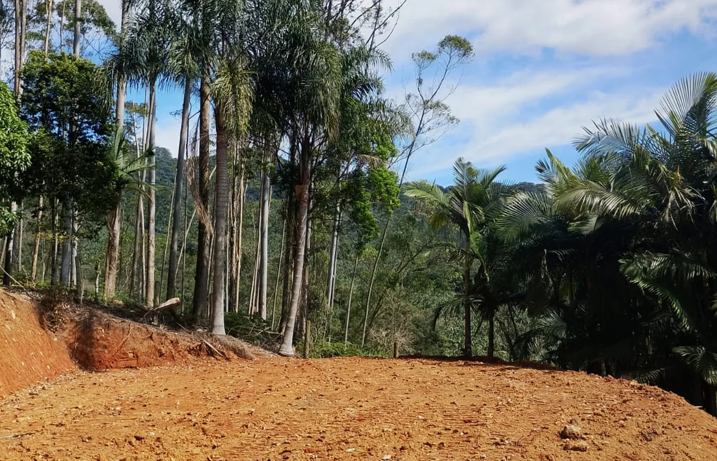 Terreno Rural com 2.000m² | Vista Panorâmica | Braço do Baú – Ilhota/SC