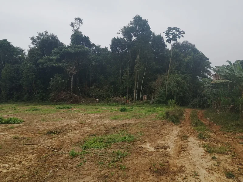 Terrenos a partir de 800m² | São João do Itaperiú/SC