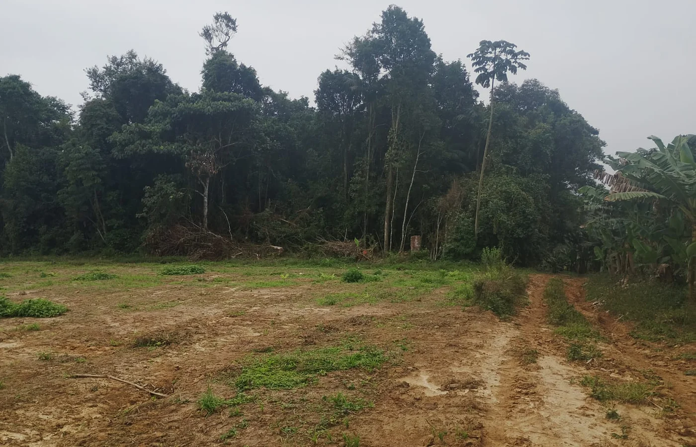 Terrenos a partir de 800m² | São João do Itaperiú/SC
