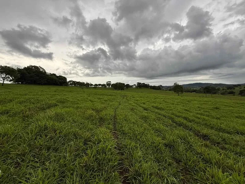 TERRENO RURAL DE 1.000 m² POR APENAS  "R$ 60.000" , Água Corrente e Queda Natural — 1.000m² | Paulo Lopes/SC