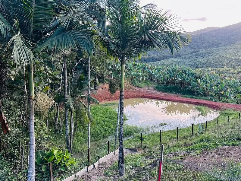 Terreno de 3.200M2 | Lagoa + Nascente | Ilhota/Sc